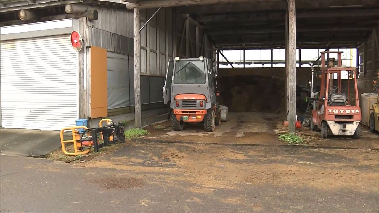 【悲報】クマちゃう・こわいよ～www 嘘みたいホントの事！