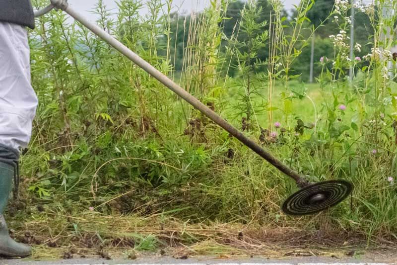 【謝罪】草刈り中の放尿や夏ミカン無断もぎ取りで波紋…館山市シルバー人材センター