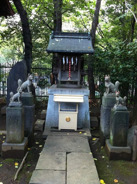 2213a1f2.jpg