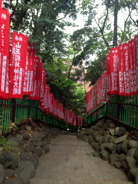 31b817d6.jpg