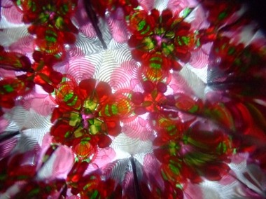 a0960_000677