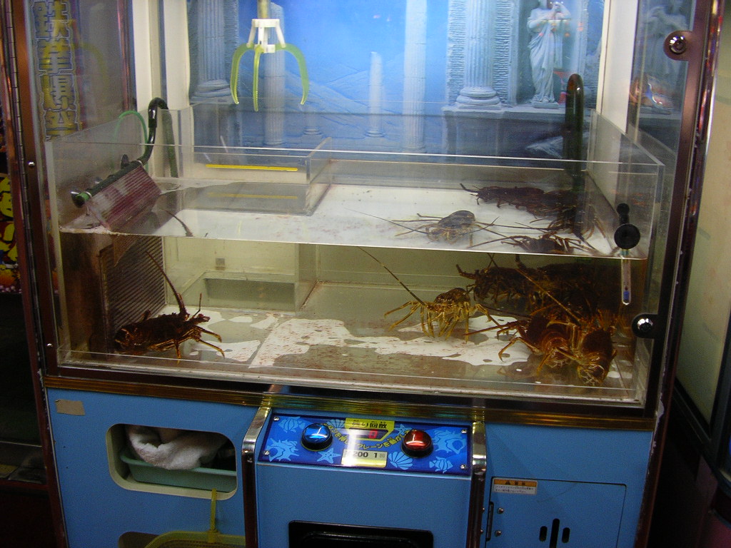 Trf編集後記ブログ 鉄乙女の個人ブログだよ Livedoor Blog ブログ