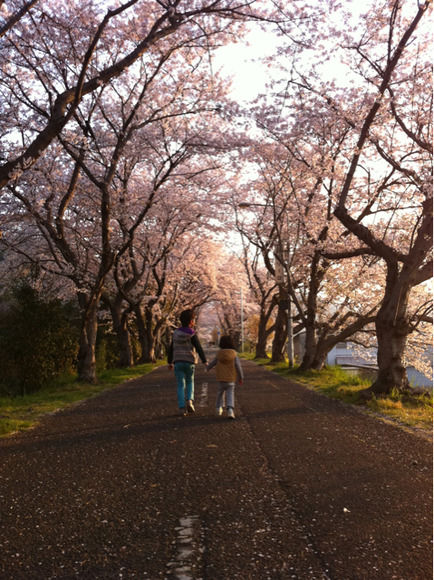 2011桜