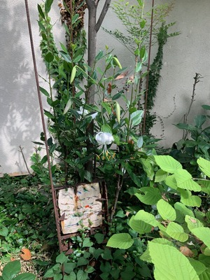image0