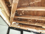 DSCF4739