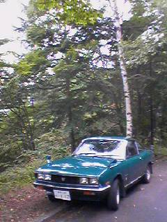 117tri1
