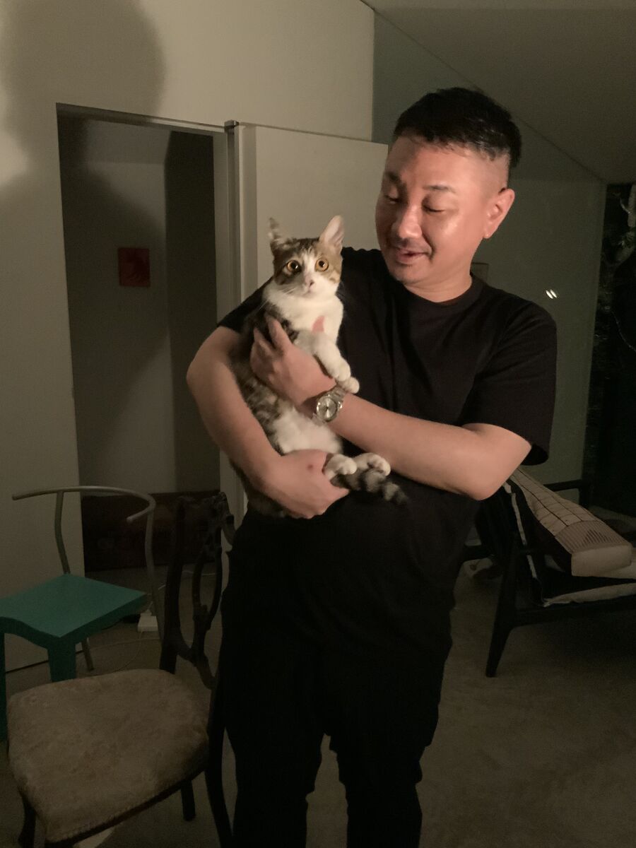 猫の抱っこの仕方 姫log Tri Angle