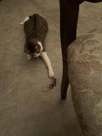 unnamed-2