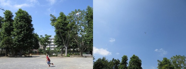 公園2