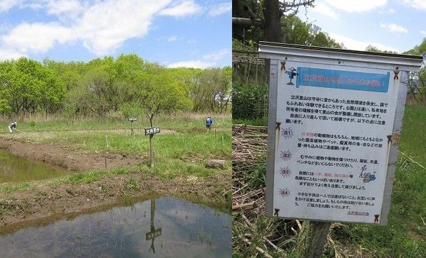 立沢1