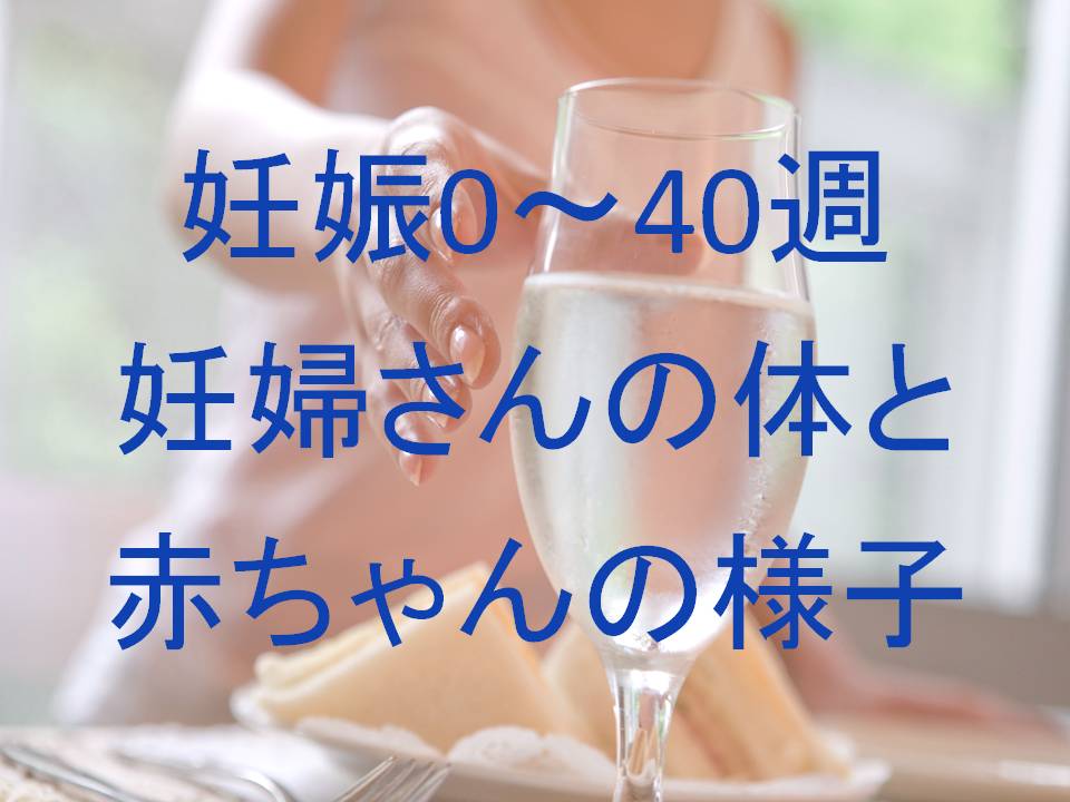 妊娠後期8ヶ月 妊娠28週 29週 30週 31週 の妊婦さんと赤ちゃん おいしい水 水素水 Com 妊娠後期8ヶ月 妊娠28週 29週 30週 31週 の妊婦さんと赤ちゃん おいしい水 水素水 Com