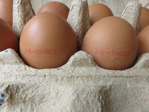 eggs