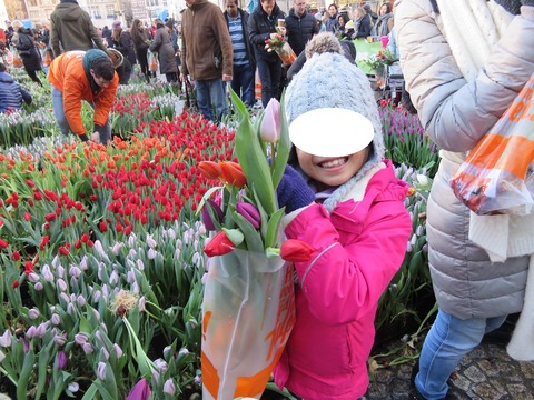 tulip7