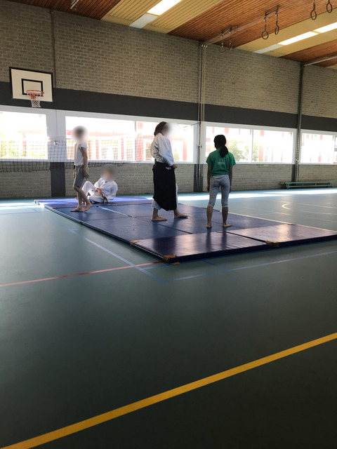 aikido