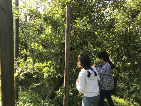 7FAE4693-FB0E-47D0-97C9-5DD7A64458C9