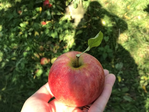 CBE99C51-B0EC-49B0-968E-8A3008EACE2B