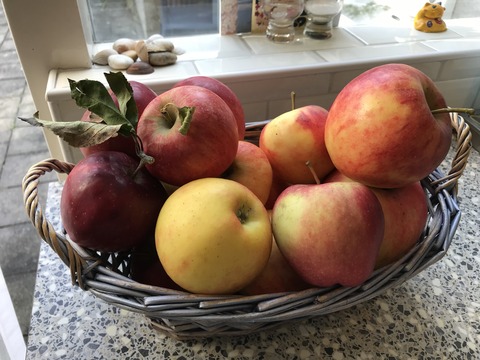 4FBA950D-0311-418A-8E48-59E1B6AFDB82