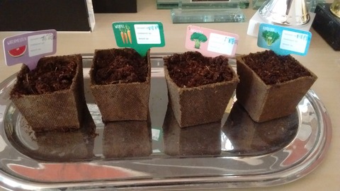 IMG_20160320_112225798