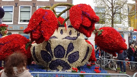 IMG_20160424_132008636