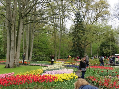 keukenhof4