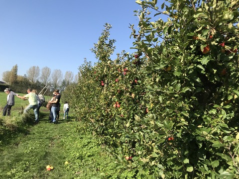 3134279D-5E11-46E5-98EF-113EE92A2F9B