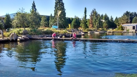 IMG_20170527_102541468_HDR
