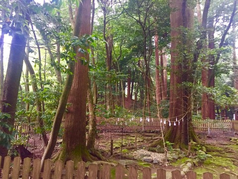 20160612椿大神社