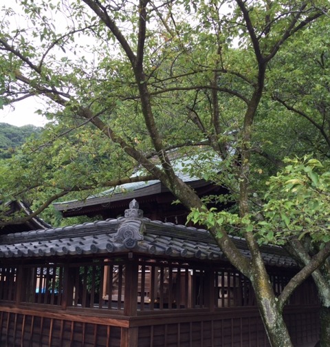 201508313北野天満神社