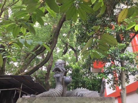 20170722田無神社 黒龍神