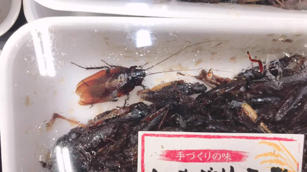 悲報 ジャップさん うっかりゴキブリの甘露煮 生をスーパーで販売してしまう ニュースまとめ
