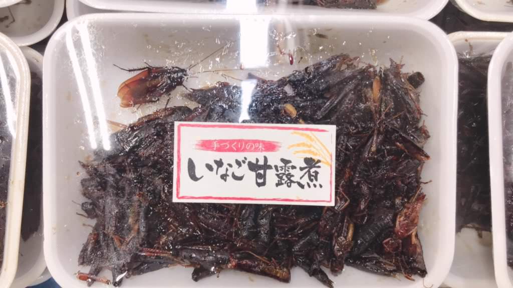 悲報 ジャップさん うっかりゴキブリの甘露煮 生をスーパーで販売してしまう ニュースまとめ