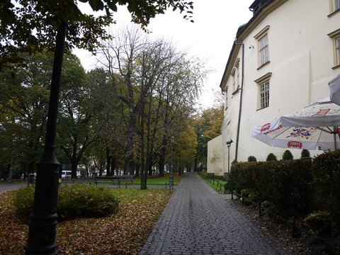 P1140985