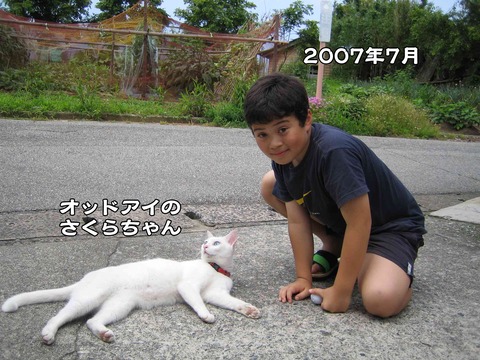 小さい頃 1