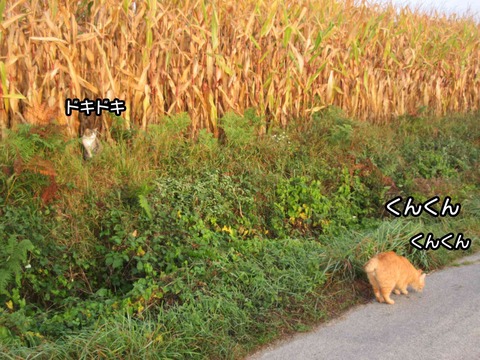 そこ 3