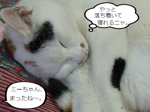 BlogPaint