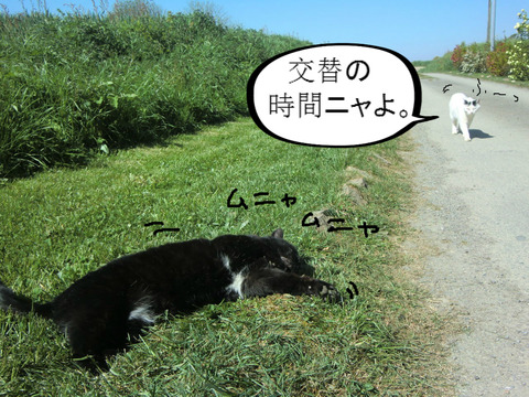 BlogPaint