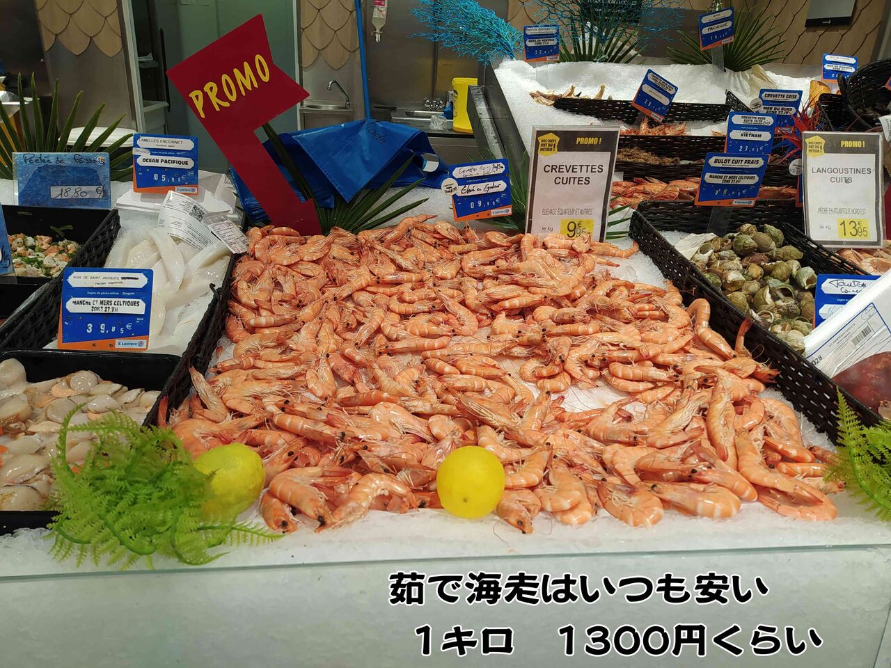 お魚屋さんの写真で簡単更新 ソワレが要らないフランス暮らし お魚屋さんの写真で簡単更新 ソワレが要らないフランス暮らし