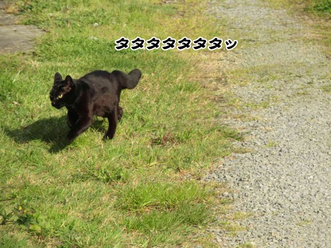 誰やねん 8