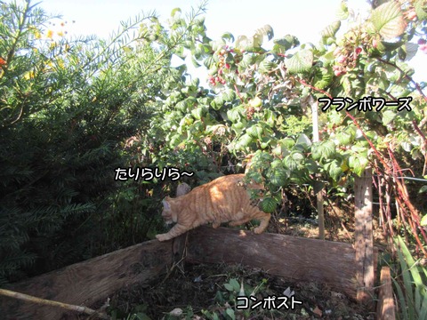 コンポスト 3