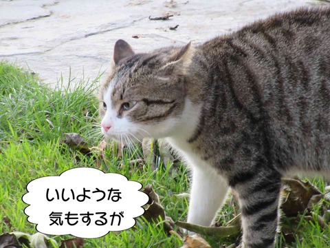交渉 3