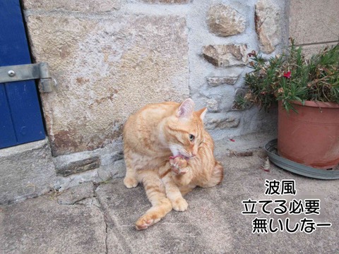留守 2