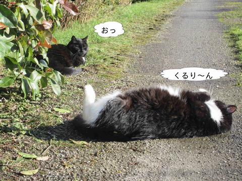 くじら　2