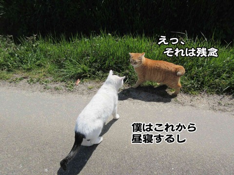 ついっててへんし　2