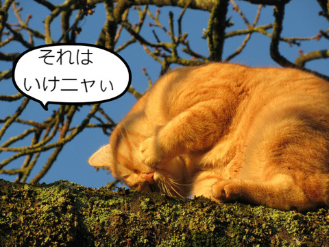 BlogPaint