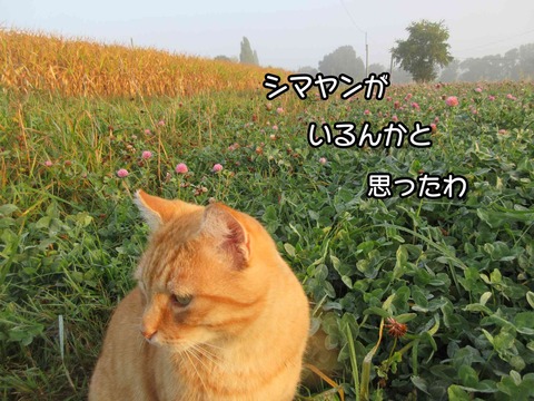 そこ 12