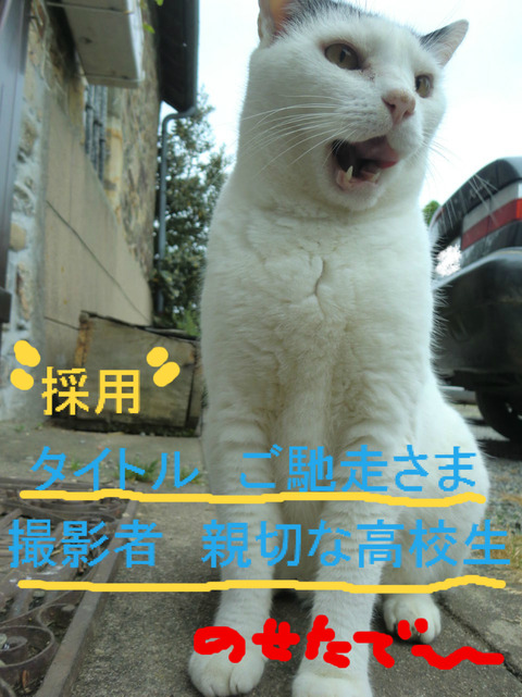 BlogPaint