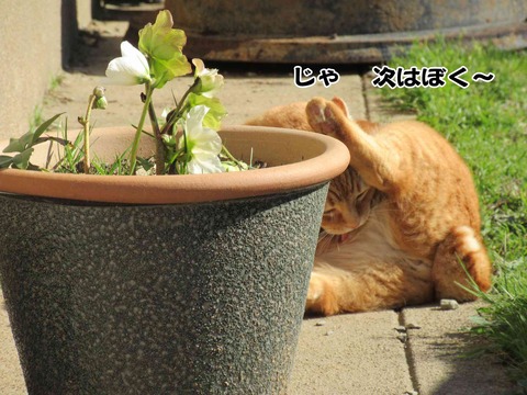 じっとしていられない 7