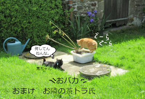 BlogPaint