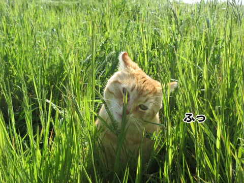 びよーん 3