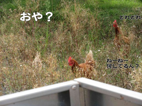 まき 7
